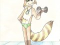 m_1237968049639_raccoon.jpg